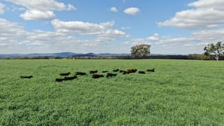 Rural / Farming commercial property for sale at 11 Rosehill Road Rocky Creek NSW 2371 Rural / Farming commercial property for sale at 11 Rosehill Road Rocky Creek NSW 2371