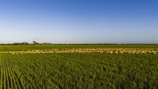Rural / Farming commercial property for sale at Telopea Downs VIC 3420