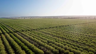 Rural / Farming commercial property for sale at Griffith NSW 2680 Rural / Farming commercial property for sale at Griffith NSW 2680