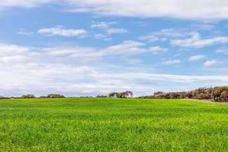 Rural / Farming commercial property sold at Wanbi Downs 1305 Charleson Road Sandalwood SA 5309