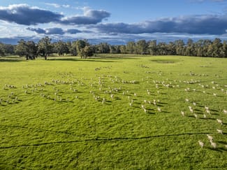 Rural / Farming commercial property for sale at 190 Berryjerry Lane Wagga Wagga NSW 2650