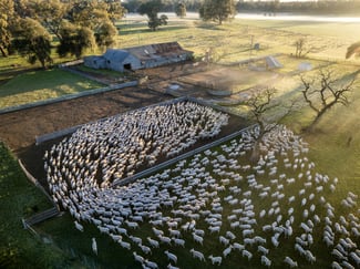 Rural / Farming commercial property for sale at 190 Berryjerry Lane Collingullie NSW 2650