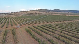 Rural / Farming commercial property for sale at 12605 Eidsvold Theodore Road Camboon QLD 4719