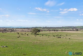 Rural / Farming commercial property for sale at 1830 Wargeila Road Yass NSW 2582 Rural / Farming commercial property for sale at 1830 Wargeila Road Yass NSW 2582