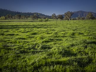Rural / Farming commercial property for sale at 3091 Shelley Road Walwa VIC 3709