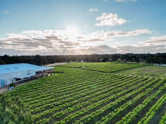 Rural / Farming commercial property for sale at Capel Vale Wines 118 Mallokup Road Capel WA 6271 Rural / Farming commercial property for sale at Capel Vale Wines 118 Mallokup Road Capel WA 6271