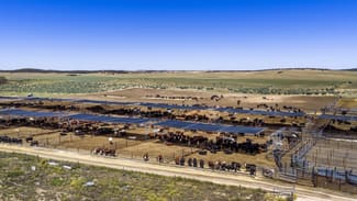 Rural / Farming commercial property for sale at 1156 Parrakie North Road Lameroo SA 5302 Rural / Farming commercial property for sale at 1156 Parrakie North Road Lameroo SA 5302