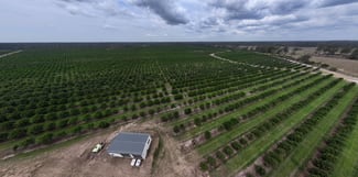 Rural / Farming commercial property sold at Bucca QLD 4670