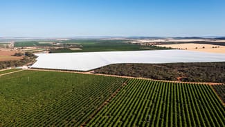 Rural / Farming commercial property for sale at Nericon NSW 2680 Rural / Farming commercial property for sale at Nericon NSW 2680
