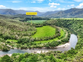 Rural / Farming commercial property for sale at 89-90 Frizzo Access Goldsborough QLD 4865