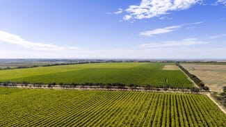 Rural / Farming commercial property for sale at 261 Marandoo Road Langhorne Creek SA 5255 Rural / Farming commercial property for sale at 261 Marandoo Road Langhorne Creek SA 5255