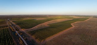 Rural / Farming commercial property for sale at 971 Wilga Road Red Cliffs VIC 3496
