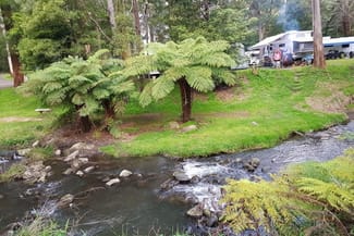 Hotel, Motel, Pub & Leisure commercial property for sale at Tarra Valley VIC 3971 Hotel, Motel, Pub & Leisure commercial property for sale at Tarra Valley VIC 3971