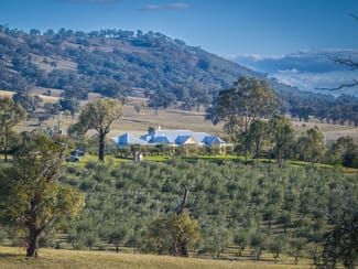 Rural / Farming commercial property for sale at 25 Mossy Rock Lane Monivae NSW 2850