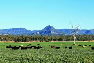 Rural / Farming commercial property for sale at Rewan Road Rolleston QLD 4702 Rural / Farming commercial property for sale at Rewan Road Rolleston QLD 4702