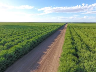 Rural / Farming commercial property for sale at Hillston NSW 2675