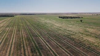 Rural / Farming commercial property for sale at Stirlings, Pompies & Town Loxton SA 5333