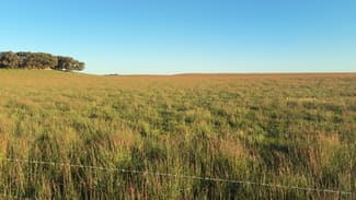 Rural / Farming commercial property for sale at Barn Hill 565 Gordon Road Meningie East SA 5264