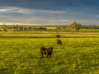 Rural / Farming commercial property for sale at 103 Kellys Road Longford VIC 3851