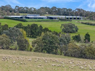 Rural / Farming commercial property sold at 504 Sidonia Road Sidonia VIC 3444 Rural / Farming commercial property sold at 504 Sidonia Road Sidonia VIC 3444
