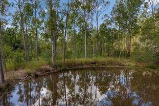 Development / Land commercial property for sale at Lot/180 Jamieson Road Glenbar QLD 4620 Development / Land commercial property for sale at Lot/180 Jamieson Road Glenbar QLD 4620