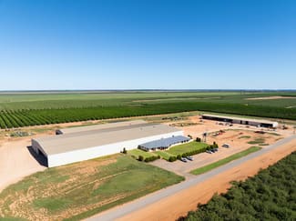 Rural / Farming commercial property for sale at Murtho SA 5340 Rural / Farming commercial property for sale at Murtho SA 5340