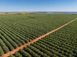 Rural / Farming commercial property for sale at Cullulleraine VIC 3496 Rural / Farming commercial property for sale at Cullulleraine VIC 3496