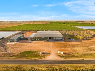 Rural / Farming commercial property for sale at 615 Fifth Street Merbein West VIC 3505