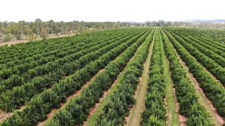 Rural / Farming commercial property for sale at 1908 Boondooma Rd Old Cooranga QLD 4626 Rural / Farming commercial property for sale at 1908 Boondooma Rd Old Cooranga QLD 4626