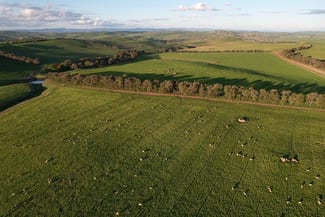 Rural / Farming commercial property for sale at 860 Wantabadgery Road Wagga Wagga NSW 2650 Rural / Farming commercial property for sale at 860 Wantabadgery Road Wagga Wagga NSW 2650