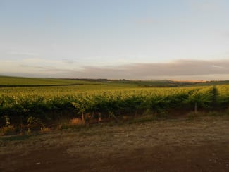 Rural / Farming commercial property for sale at Lyndoch SA 5351 Rural / Farming commercial property for sale at Lyndoch SA 5351
