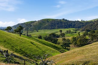 Rural / Farming commercial property sold at 1208 Sawyers Gully Road Mullion NSW 2582 Rural / Farming commercial property sold at 1208 Sawyers Gully Road Mullion NSW 2582