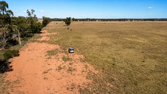 Development / Land commercial property for sale at 12201 Newell Highway Alleena NSW 2671