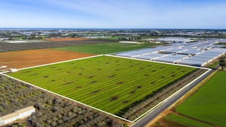 Rural / Farming commercial property for sale at 306 Taylors Road Virginia SA 5120 Rural / Farming commercial property for sale at 306 Taylors Road Virginia SA 5120
