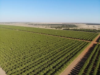Rural / Farming commercial property for sale at Hillston NSW 2675