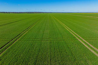 Rural / Farming commercial property for sale at 90 Kilnyana Road Savernake NSW 2646