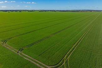 Rural / Farming commercial property for sale at 90 Kilnyana Road Savernake NSW 2646