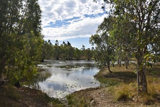 Rural / Farming commercial property for sale at 282 Staffords Road Bloomsbury QLD 4799 Rural / Farming commercial property for sale at 282 Staffords Road Bloomsbury QLD 4799