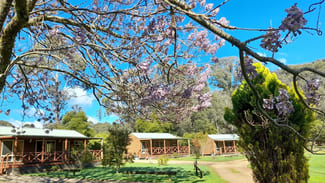 Hotel, Motel, Pub & Leisure commercial property for sale at 20 Camping Park Road Harrietville VIC 3741 Hotel, Motel, Pub & Leisure commercial property for sale at 20 Camping Park Road Harrietville VIC 3741