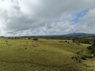 Rural / Farming commercial property for sale at 5359 Palmerston Highway Millaa Millaa QLD 4886