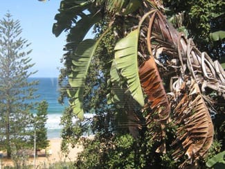 Medical / Consulting commercial property leased at Shop 2/231 Whale Beach Road Whale Beach NSW 2107