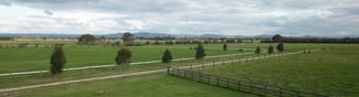 Rural / Farming commercial property for lease at 493 Plain Road Tabilk VIC 3607 Rural / Farming commercial property for lease at 493 Plain Road Tabilk VIC 3607
