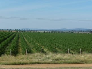 Rural / Farming commercial property sold at Billimari NSW 2804 Rural / Farming commercial property sold at Billimari NSW 2804
