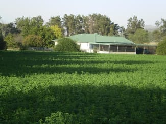 Rural / Farming commercial property sold at Tamworth NSW 2340 Rural / Farming commercial property sold at Tamworth NSW 2340