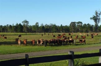 Rural / Farming commercial property sold at Whiporie NSW 2469 Rural / Farming commercial property sold at Whiporie NSW 2469