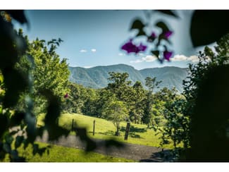 Rural / Farming commercial property for sale at 930 promised land Road Bellingen NSW 2454