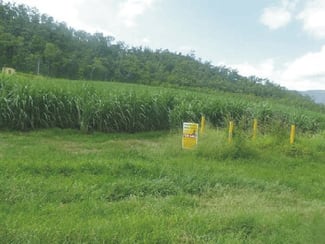 Rural / Farming commercial property sold at Lot 13 Stone River Road Upper Stone QLD 4850