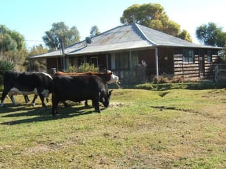 Rural / Farming commercial property sold at Koraleigh NSW 2735 Rural / Farming commercial property sold at Koraleigh NSW 2735