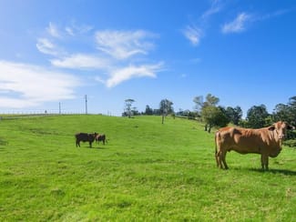 Rural / Farming commercial property sold at Lot 2/72 Freemans Rd Lower Beechmont QLD 4211 Rural / Farming commercial property sold at Lot 2/72 Freemans Rd Lower Beechmont QLD 4211