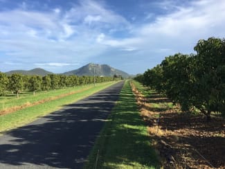 Rural / Farming commercial property for sale at Bowen QLD 4805